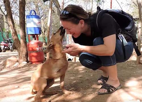 even after train accident his hopeful little tail wagged 1 1