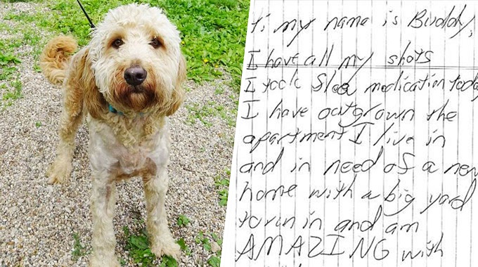 heartbreaking note left loved cherished abandoned dog