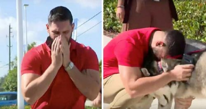 heartbroken man stumbles upon his missing dog 0 1