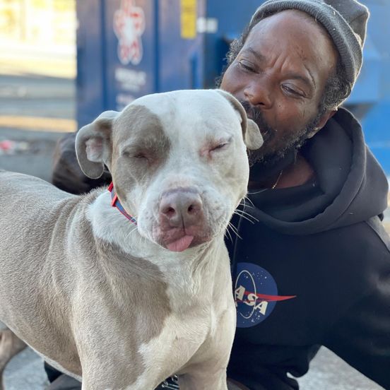 homeless man saves 16 animals 1 1