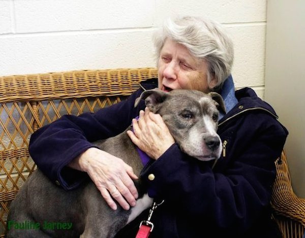 nuns adopt unwanted pit bull 1 1