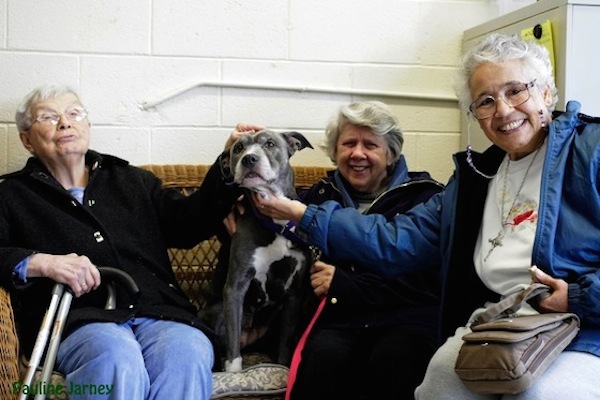 nuns adopt unwanted pit bull 2