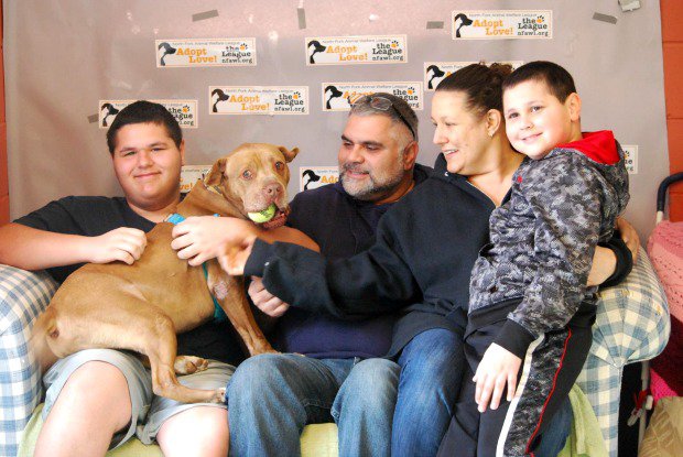 pit bull spends 5 years in shelter but 1