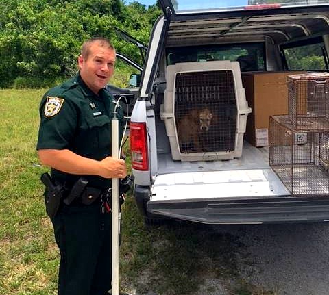 police officer helps save a puppy from drowning then decides to become his 2