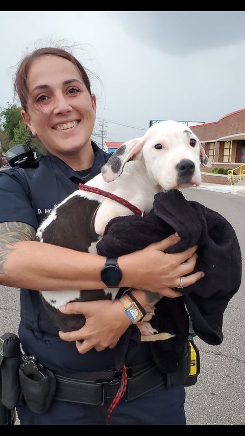 puppy found covered in feces so relieved to see rescuers 3