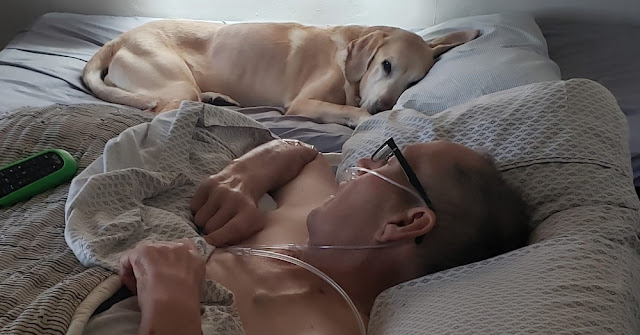 veteran and loyal dog passed away within hours of each other 1