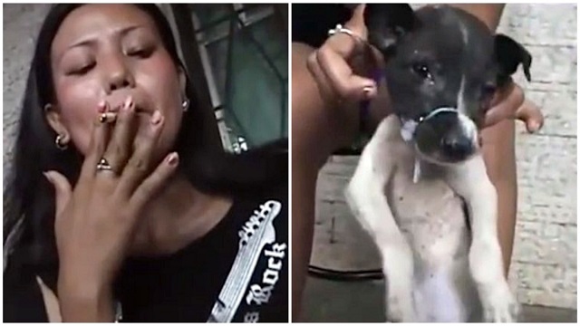 woman holds puppy from neck burns his eyes face repeatedly with cigarette 2