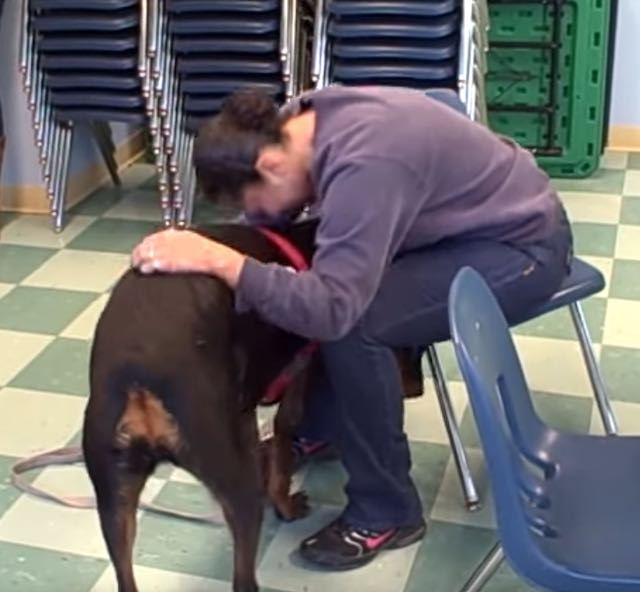 woman reunites with rottweiler after years apart 1