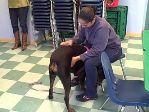 woman reunites with rottweiler after years apart 3