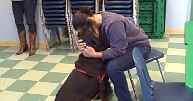 woman reunites with rottweiler after years aparttt 1