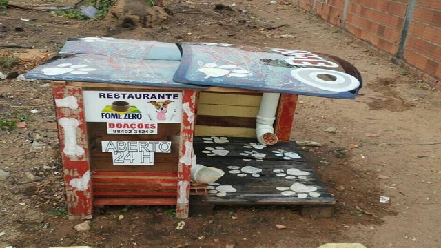 young man builds restaurant to help street dogs 1