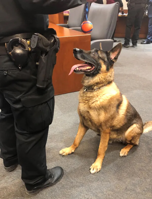 K9 Kelly 1