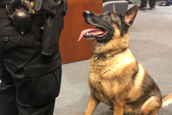 K9 Kelly 4