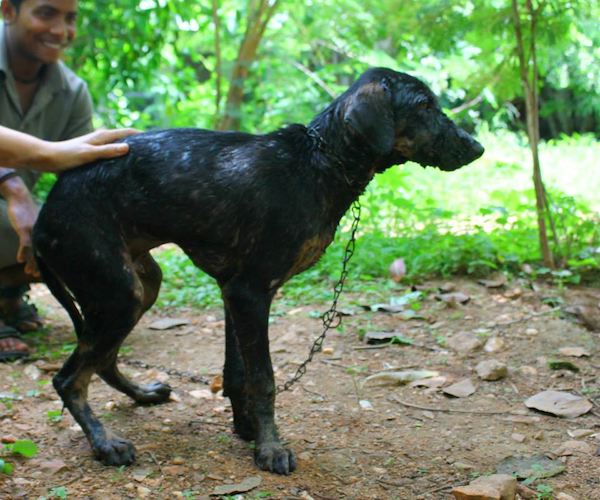 After his ordeal, he was back on his feet and very grateful to his rescuers!