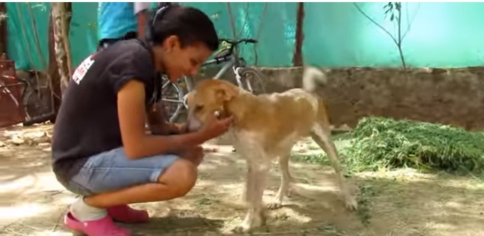 dog comatose on roadside makes amazing 8