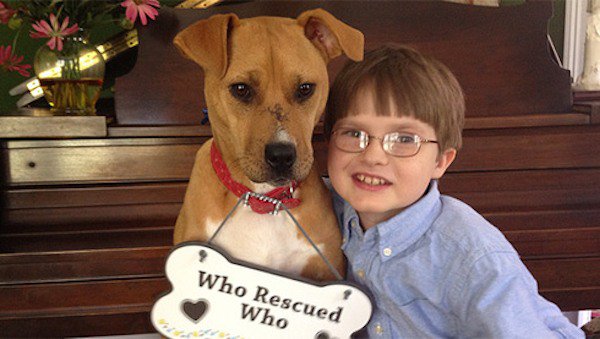 powerful bond saves dog and autistic boy 1