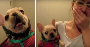 Girl Says 'I Love You' To Dog – Then He Says 'I Love You' Back