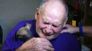 elderly couple is emotional as they receive a new puppy after tragedy 2