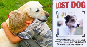 Why Losing A Dog Can Be Even More Painful Than The Death Of A Loved One