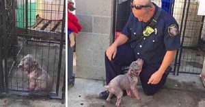 puppy chunkie reunites firefighter