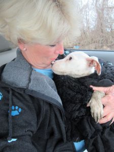 starving cold puppy covered in bite marks found dumped in a cage in the middle of a field 2