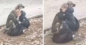 young boy stops and gives stray dogs 1