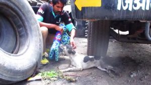 Despite The Pain He Was In He Still Wagged His Tail 2