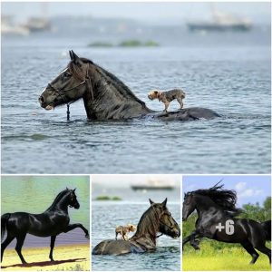 Brave Horse Risks All to Save Helpless Canine