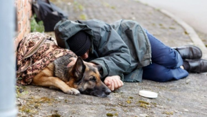 1695306307 896 Heartbreaking Tale of Homeless Man and Loyal Dog Embraces Compassion