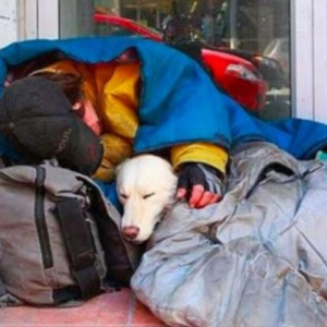 Heartbreaking Tale of Homeless Man and Loyal Dog Embraces Compassion e1697790165931